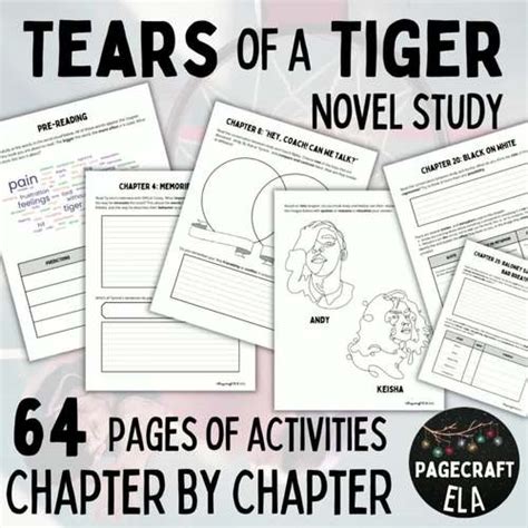 Tears of a Tiger Questions 